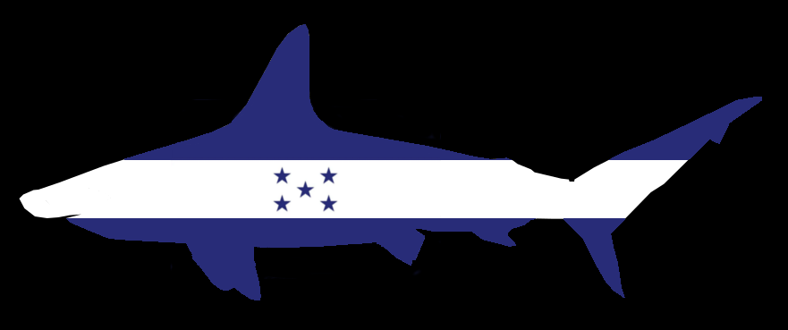 Shark